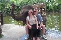 100_0424elepha_1